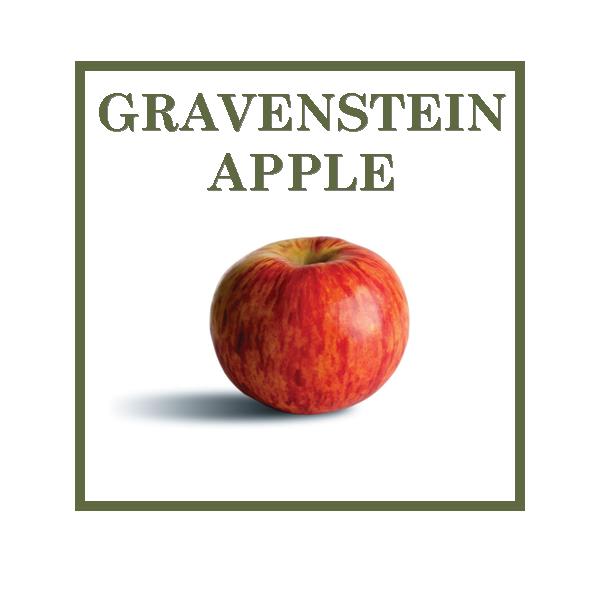 Gravenstein Apple